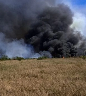 На Миколаївщині минулої доби вогонь знищив 30 гектарів зернових