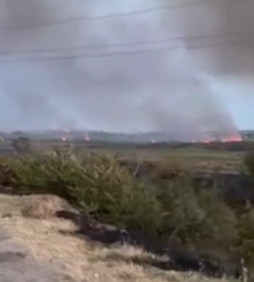 На Одещині за добу вогонь знищив понад 11 гектарів, - ВІДЕО