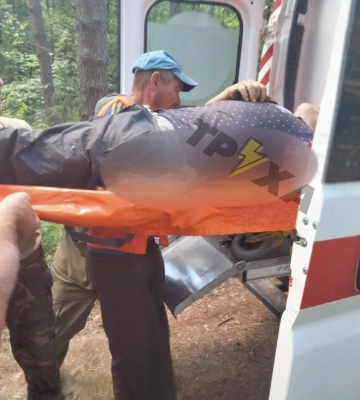 У Ковельському районі на чоловіка впало дерево, він у важкому стані