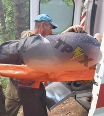 У Ковельському районі на чоловіка впало дерево, він у важкому стані