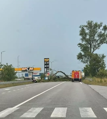 Шквали на Закарпатті: повалені дерева на дорозі та пошкоджений будинок