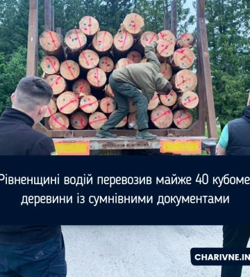 На Рівненщині водій перевозив майже 40 кубометрів деревини із сумнівними документами