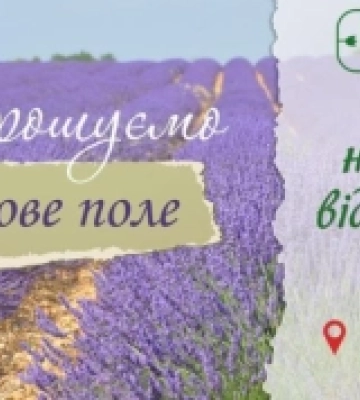 На Ковельщині відкриється лавандове поле