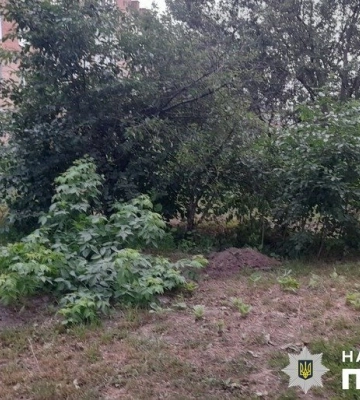 У Лубнах на Полтавщині чоловік намагався закопати живу собаку