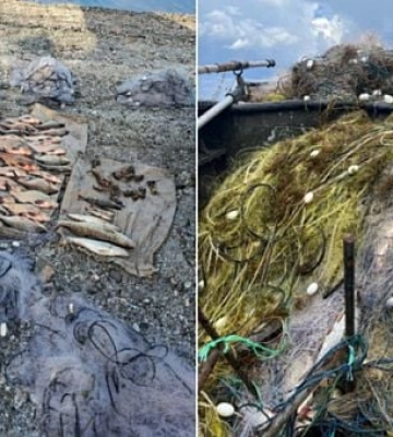 На Дніпропетровщині за 2 місяці виловили риби на 6,8 мільйонів гривень збитків