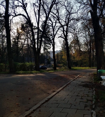 Навіщо у Львові створили парк-пам'ятку «Кульпарків»