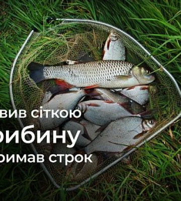 Мешканець Криворіжжя отримав строк, незаконно наловивши сіткою риби на 80 тисяч гривень збитків