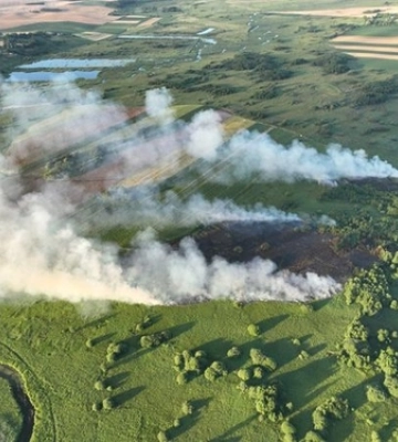 Біля Луцька горіли два гектари трави 