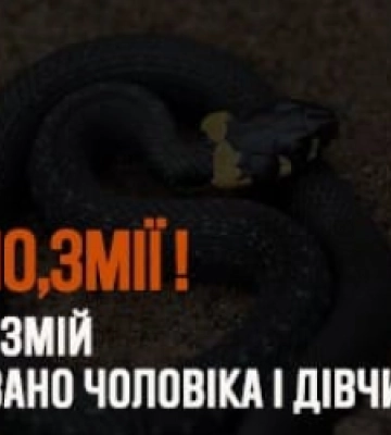 Через укуси змій на Львівщині госпіталізовано чоловіка і дівчину