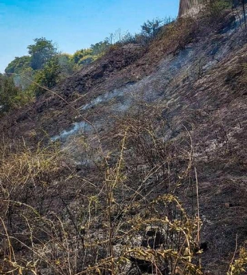 Загорілась суха трава: біля Траси здоровʼя в Одесі сталась пожежа
