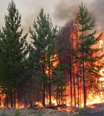На Рівненщині оголосили надзвичайний рівень пожежної небезпеки