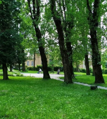 Чотири праліси Львівщини та парк “Кульпарків” у Львові отримали природоохоронний статус
