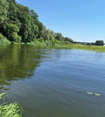 Відомо, у яких водоймах на Сарненщині виявили кишкову паличку та яйця глистів