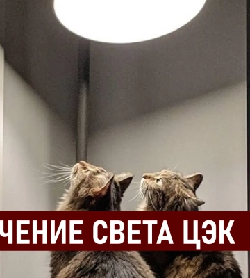 Графики отключения света ЦЭК Центральная энергетическая компания в Днепре 30 июня: полная информация