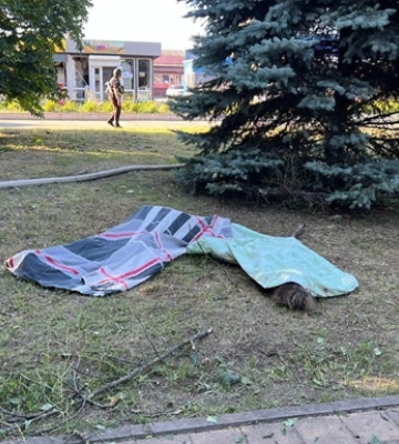 Зеленский отреагировал на удар по Вольнянску