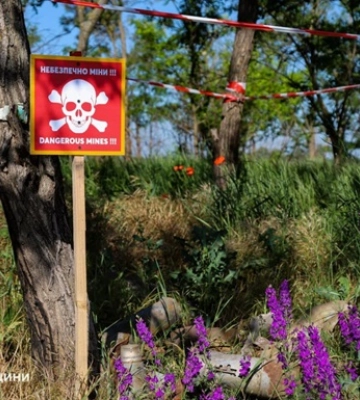 В Міноборони повідомили, яку частину територій очистили від мін