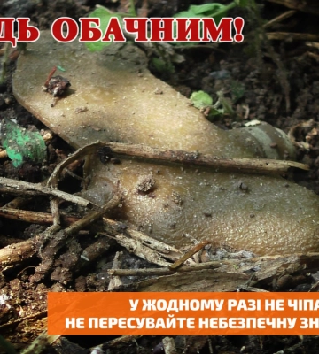 Пожилая жительница Харьковщины потеряла стопу, наткнувшись на «лепесток»
