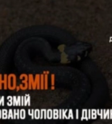 Черговий випадок укусу змії на Стрийщині: госпіталізовано дівчину