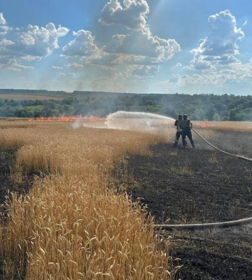 Окупанти обстріляли пшеничне поле на Харківщині: сталася пожежа