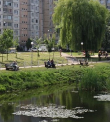 У Львові озеро на вул. Симоненка очистять від водоростей