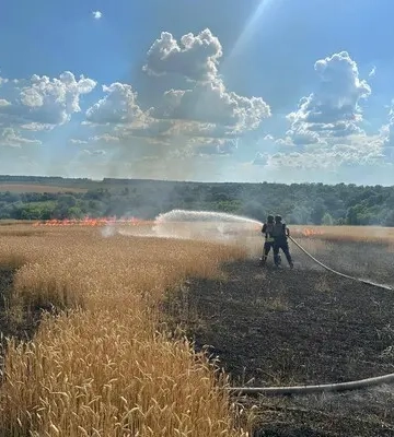 У Харківській області через дії російських військ горіло пшеничне поле