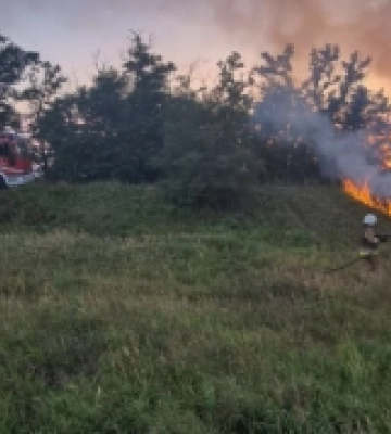 Вогнеборці Миколаївщини за добу загасили 29 пожеж