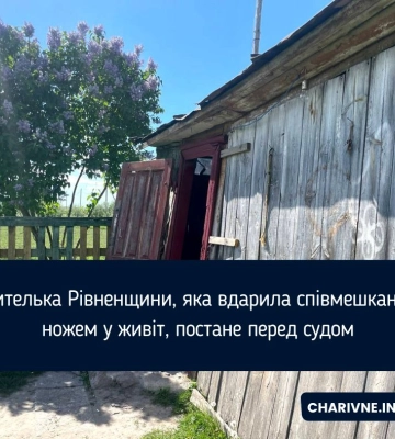 Вдарила співмешканця ножем у живіт: жителька Рівненського району постане перед судом