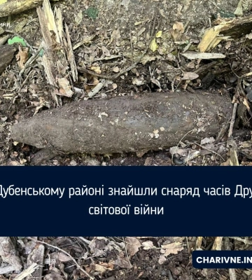 Біля Пирятина виявили боєприпаси часів Другої світової війни