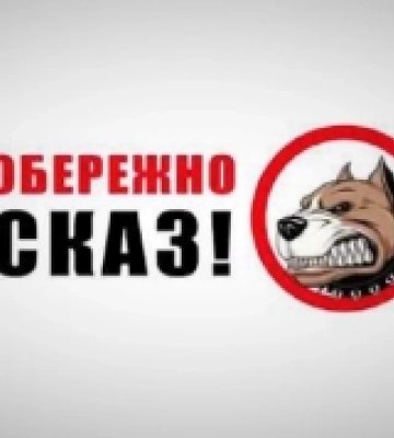 В Ізмаїлі на Одещині запровадили карантин через випадки сказу тварин