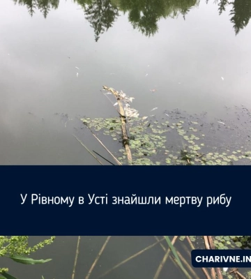 В Усті гине риба. Держекоінспекція встановлює причини