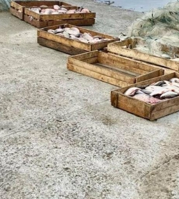 На Одещині викрили двох браконьєрів, які завдали державі збитків на 1,5 мільйони гривень