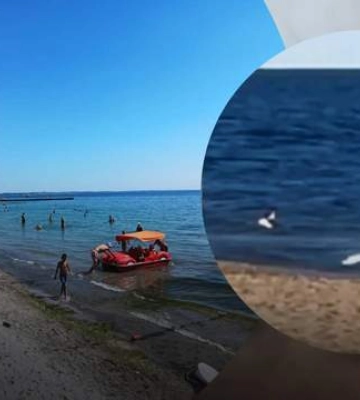 Соцсети: В Одессе мина сдетонировала прямо рядом с плававшими в море отдыхающими — видео