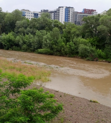 Як виглядає Бистриця Солотвинська після рясних опадів 2 липня
