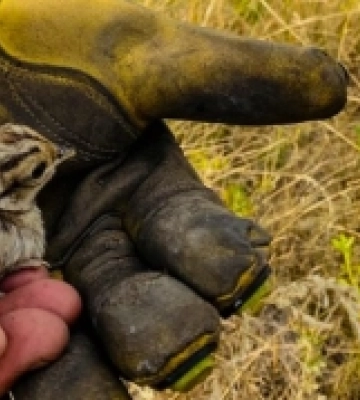 У Снігурівці на Миколаївщині сталася пожежа в лікарні