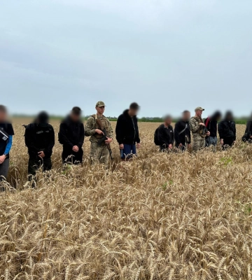 На Закарпатті десятьох чоловіків затримали у пшеничному полі: що вони там робили (ФОТО)