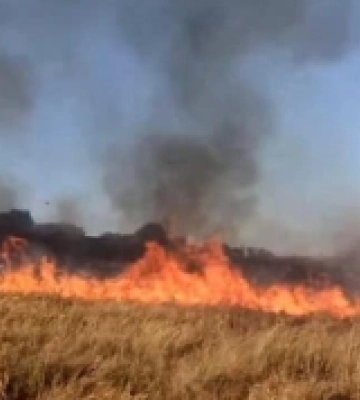 На Миколаївщині внаслідок ворожого обстрілу зайнялося поле: жертв і постраждалих немає