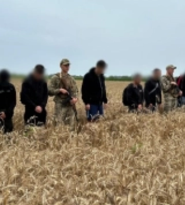 Десятьох «женців» у пшеничному полі виявили прикордонники Закарпаття