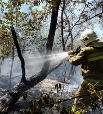 Ще близько 50 га відкритих територій вигоріло вчора на Миколаївщині