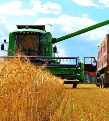 У Черкаській області триває збір врожаю, цьогоріч він більший