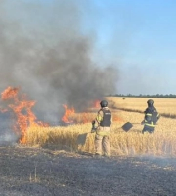 На Донеччині через російські обстріли за добу згоріли до 100 га пшениці