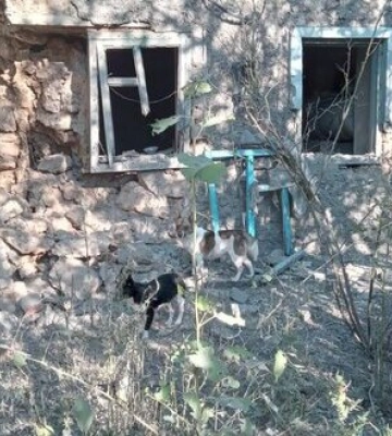 Доба на Херсонщині: 3 людини поранено, пошкоджено багатоповерхівки і приватні будинки, медзаклад та газопровід