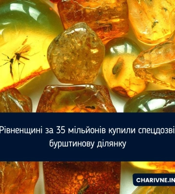 Тридцять п’ять мільйонів коштує дозвіл на бурштинову ділянку на Рівненщині