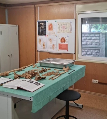 19 обласних бюро судмедекспертизи перейшли до сфери управління МОЗ