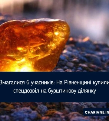 Тридцять п’ять мільйонів коштує дозвіл на бурштинову ділянку на Рівненщині