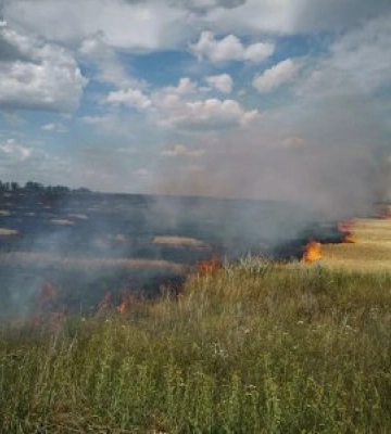 Протягом доби на відкритих територіях Миколаївщини вигоріло понад 70 га