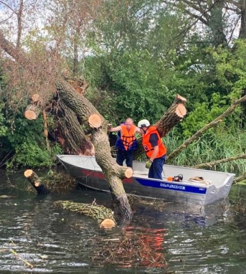 Біля Луцьку в річку впало дерево 