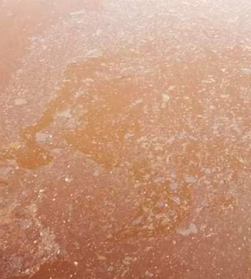 У заповіднику на Одещині вода в озерах змінила колір: в чому причина