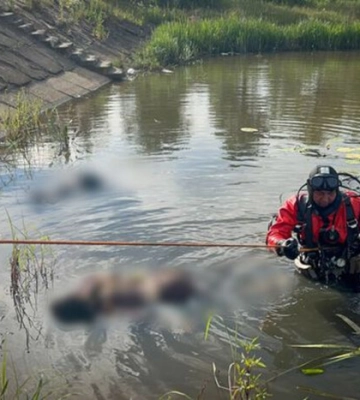 Вода забрала життя одразу двох дітей на Закарпатті