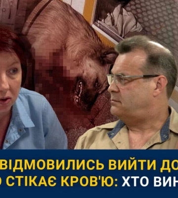 У Дніпрі під час вибухів ветклініка відмовилась лікувати стікаючу кров’ю собаку: хто винен