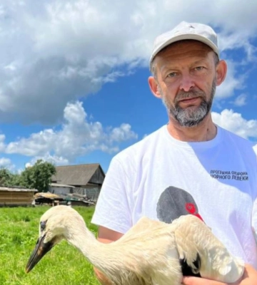 Вперше в Україні: за волинськими лелеками стежитимуть через супутник
